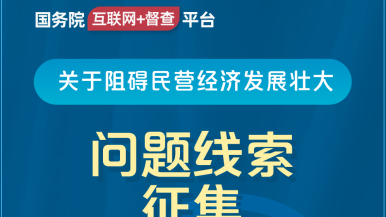 黄色网站插小穴国务院“互联网+督查”平台公开征集阻碍民营经济发展壮大问题线索